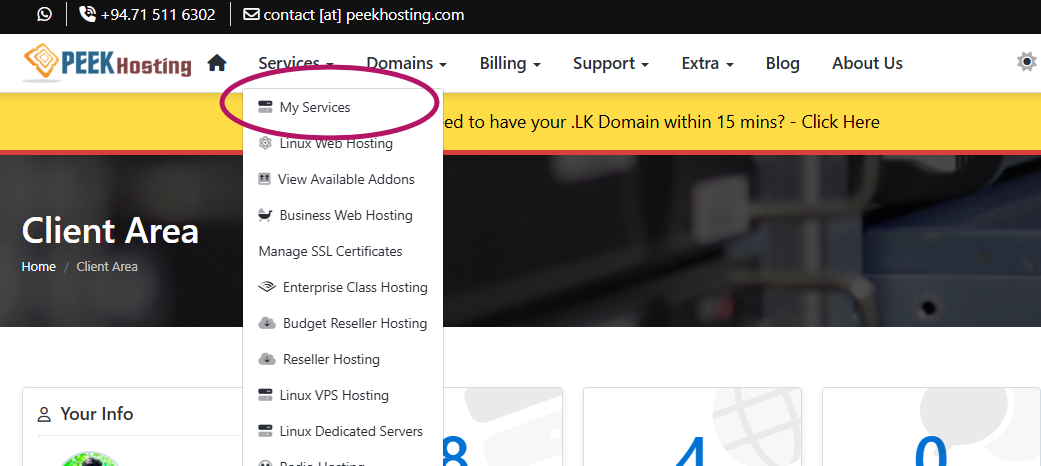 cPanel-login