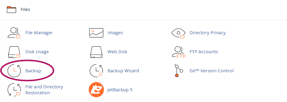cPanel Backp section
