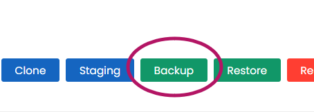 Backup Site